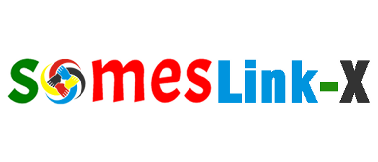 someslink x